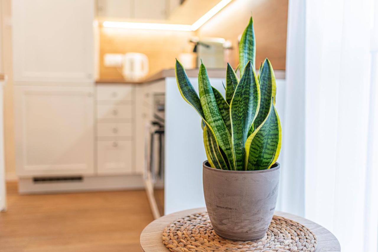 Cosy Inner City Getaway Bestern Szeged Esterno foto